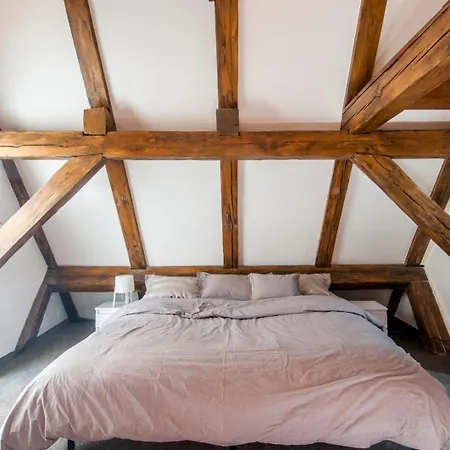 Apartment Roof